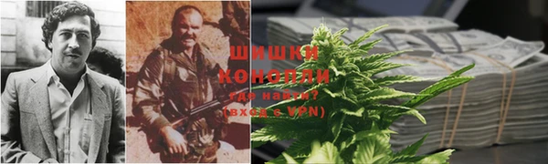 стаф Волоколамск