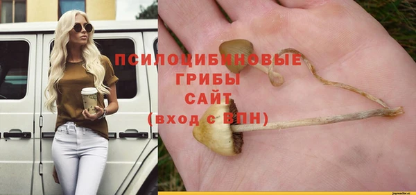 2c-b Володарск