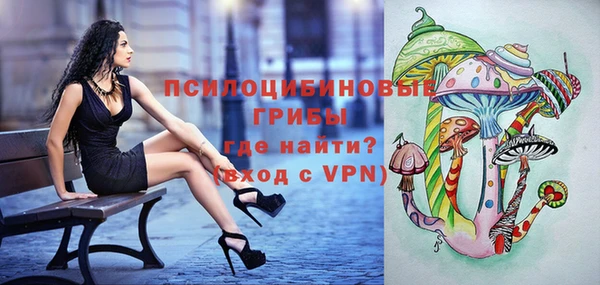бошки Волосово