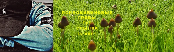бошки Волосово