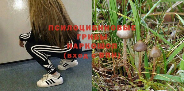 2c-b Володарск