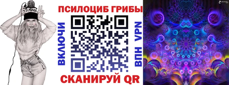 где купить   Пушкино  Псилоцибиновые грибы ЛСД 